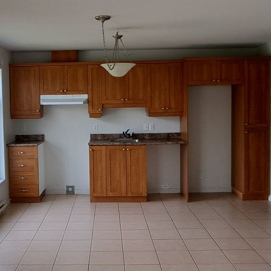 Le 1420 Desaulniers, St-Hyacinthe - Photo 1
