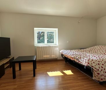 Location Appartement 1 pièce 29m² COUZON AU MONT D OR 69270 - Photo 4