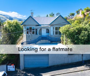 Looking for 2 flatmates - 2 rooms available in North Dunedin - Photo 3