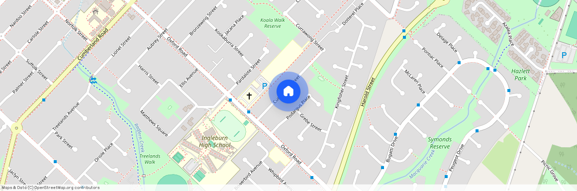 62 Currawong Street, NSW 2565, Ingleburn