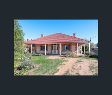 96 Commerce Road, Murray Bridge, SA 5253 - Photo 5