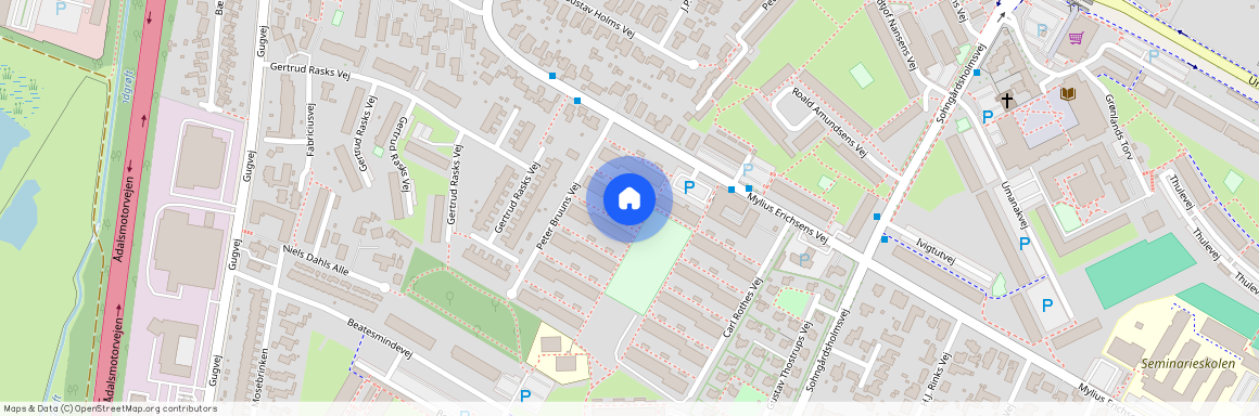 Peter Bruuns Vej 65 1 1, 9210 Aalborg SØ