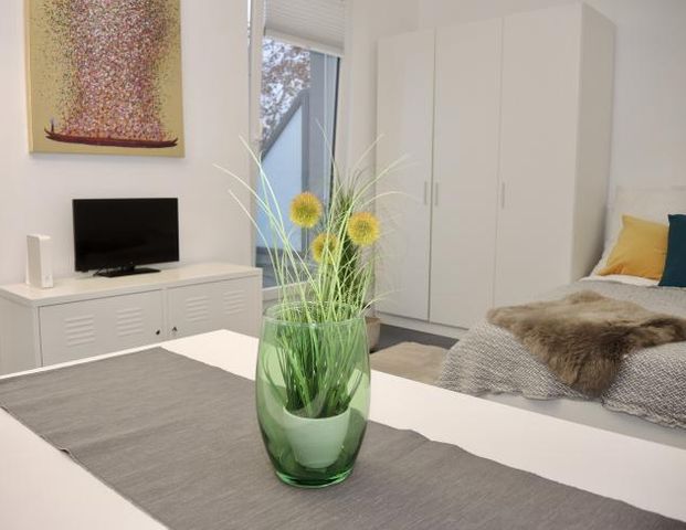 Möblierte Apartments mit Dachterrasse - Foto 1