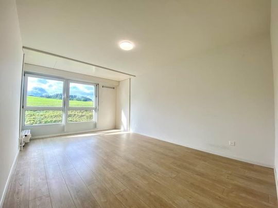 "Grossräumige, helle Wohnung mit Balkon und herrlicher Aussicht" - Photo 1
