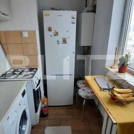 Garsoniera de inchiriat, 25 mp, pet friendly, zona Big - Fotografie 1