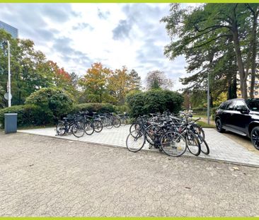 Modernes Studentenapartment direkt am Campus in Darmstadt - Photo 5