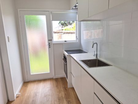 Freshly Renovated, includes Water and Lawns - Photo 5