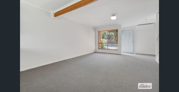 Fresh, Bright & Walk-to-Everything Convenience! - Photo 1