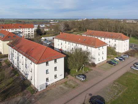 Wohntraum für Zwei: Moderne 2-Zimmer-Wohnung in Torgau - Photo 4