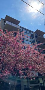 For Lease - 105 Raglan Avenue Unit# 303, Toronto, Ontario - Photo 3