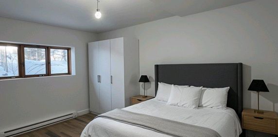 Grand 3 1/2, Rénové/Renovated, Ensoleillé/Sunny a Louer/For Rent - Photo 2