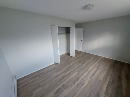 Fully Renovated Pet Friendly Unit!!! - Photo 2