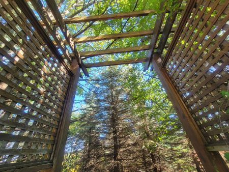 For Lease - 98 Brookeview Drive, Aurora, Ontario - Photo 3