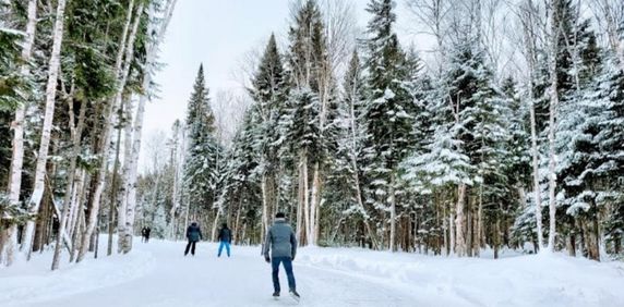 À louer – Superbe 4 ½ neuf au sous-sol à Saint-Donat - Photo 2