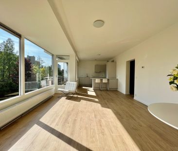 Chabotlaan, 3055 AG Rotterdam - Photo 4