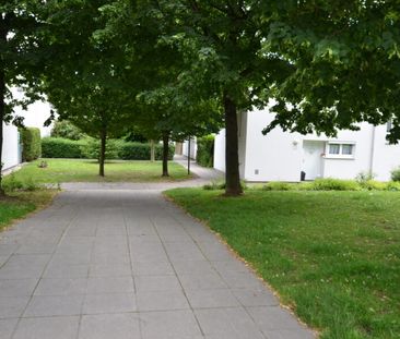 1-Zimmer Singlewohnung in Auwiesen - Photo 2
