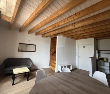 Location Appartement 1 pièce Meublé 29m² REZE 44400 - Photo 2