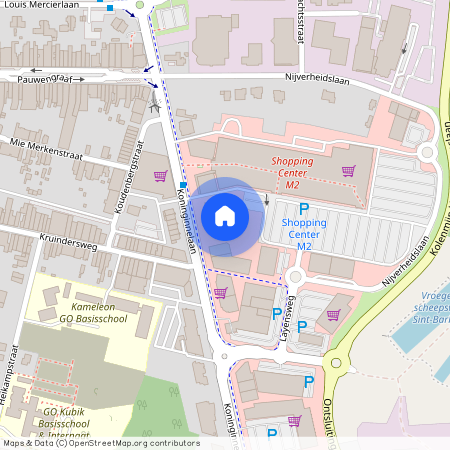 Koninginnelaan 123 / 2, 3630 Eisden