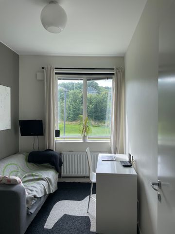 Hundestedsvägen, Båstad - Foto 4