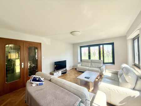 Location Appartement 1 pièce 15m² MITTELHAUSBERGEN 67206 - Photo 2