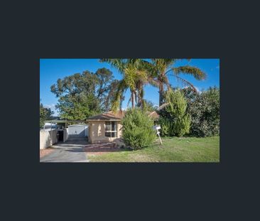 Family Gem in Hamersley - Photo 5