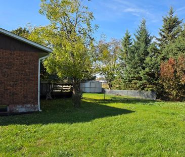 For Lease - 248 Young Street, New Tecumseth, Ontario - Photo 3