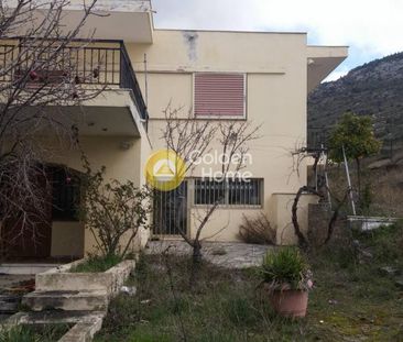 Ενοικίαση, Κατοικία, Μονοκατοικία - Φωτογραφία 3