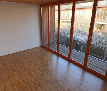 Wohnsiedlung "Obere Widen" im Grünen am Birsufer gelegen - Foto 6