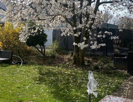 Zwei-Zimmer 50qm Leverkusen Nachmieter gesucht - Foto 1