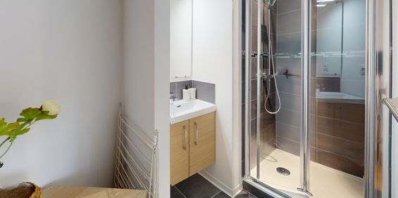 MASSENET D Roommate 3 Bedrooms at Toulouse - Photo 3