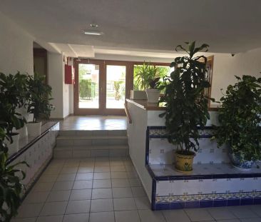 Orihuela - Photo 5