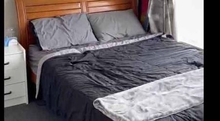 2BR Belmont Apartment! - Photo 2