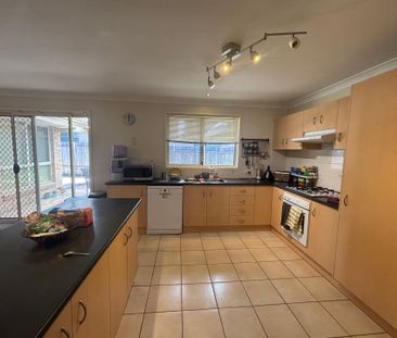 Elegant Eucalyptus - Photo 6