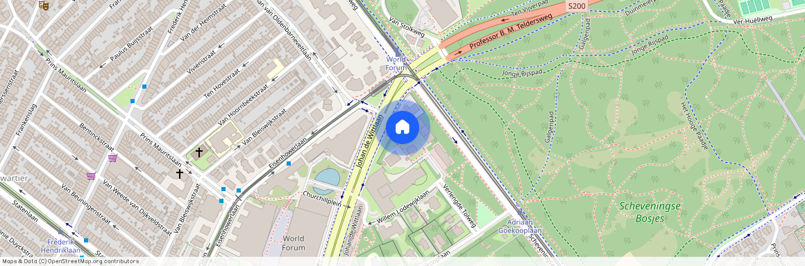 Jan Willem Frisohof 52, 2517LA, 'S-Gravenhage