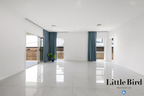 Modern Family Living - Photo 1