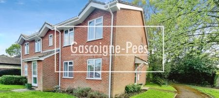 Oak Tree Drive - Hook - Photo 5