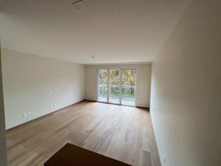 Superb bright 2.5 room duplex in Belmont-s/Lausanne - Foto 3