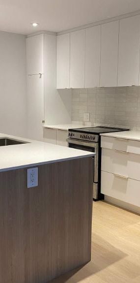 1 CH - 1 SDB - Montreal - $1,700 /mo - Photo 1