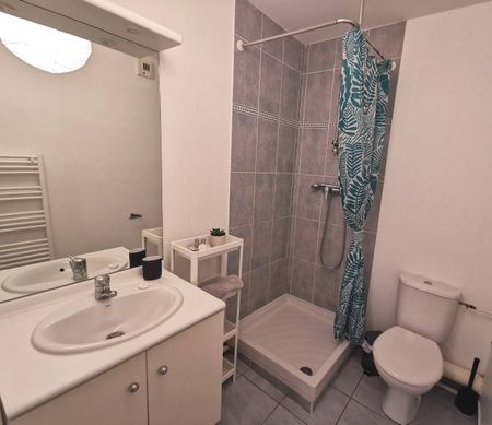 Le nid de Zola - Photo 5