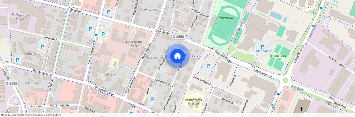 Falköping, Västra Götaland, Högarensgatan 9 A