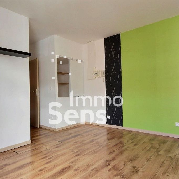 Location appartement - Lille - Photo 1