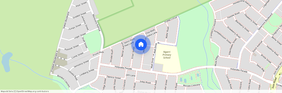 19 Medlar Avenue, VIC 3024, Manor Lakes