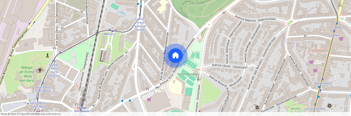 Avenue Victor Rousseau 113, 1190 Forest