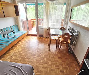 Rent only per week: this large south-facing studio near the center ... - Photo 2