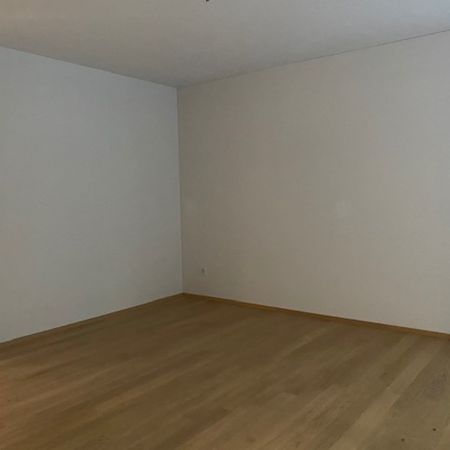 Moderne 3.5 Zimmerwohnung direkt an der Limmat - Photo 3