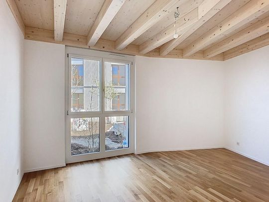 Spacieux 3,5 pièces avec vue lac et terrasse privative - Photo 1