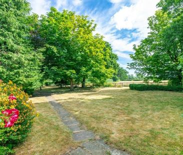 3 bedroom cottage to rent - Photo 6