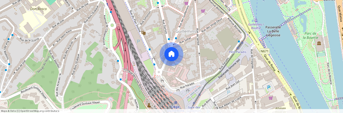 Rue Des Guillemins, 113, 4000, Liège