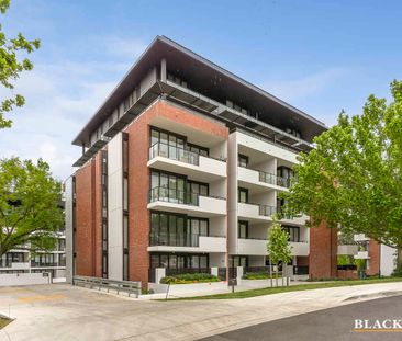 Stylish Apartment in ‘Renaissance’ Walk to Manuka Dining &... - Photo 6