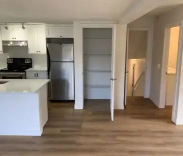Fully Renovated 2 bedroom, 1 bathroom basement suite in beautiful W... - Photo 1